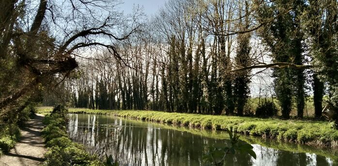 Riverside footpath running beside a calm tree-lined section of the river on a bright day