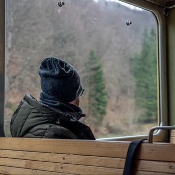 Passenger sitting inside a train looking out at a forested landscape.