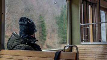 Passenger sitting inside a train looking out at a forested landscape.