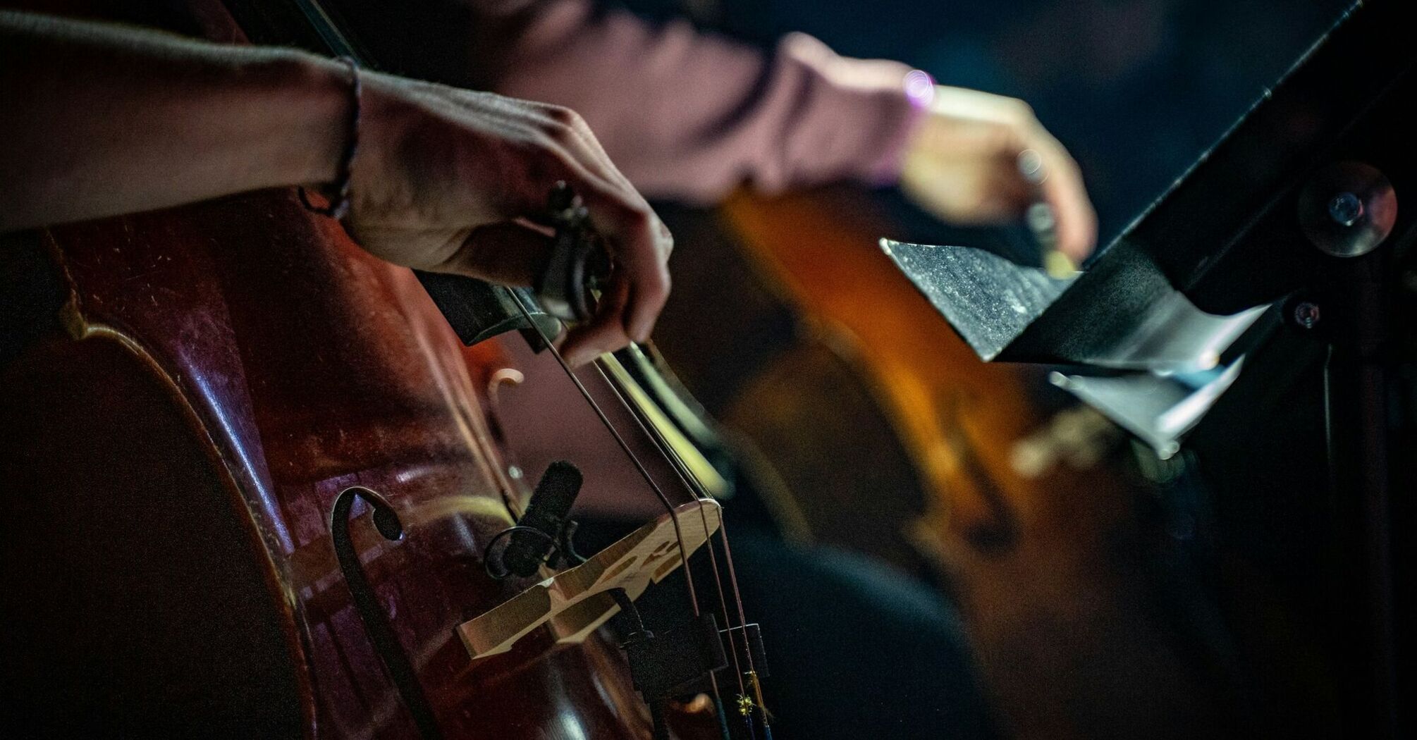 Close-up of musicians playing string instruments during a live performance