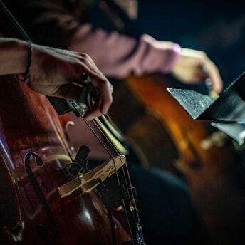 Close-up of musicians playing string instruments during a live performance