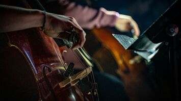 Close-up of musicians playing string instruments during a live performance