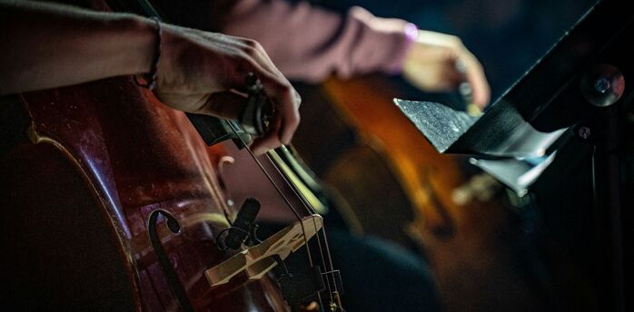 Close-up of musicians playing string instruments during a live performance