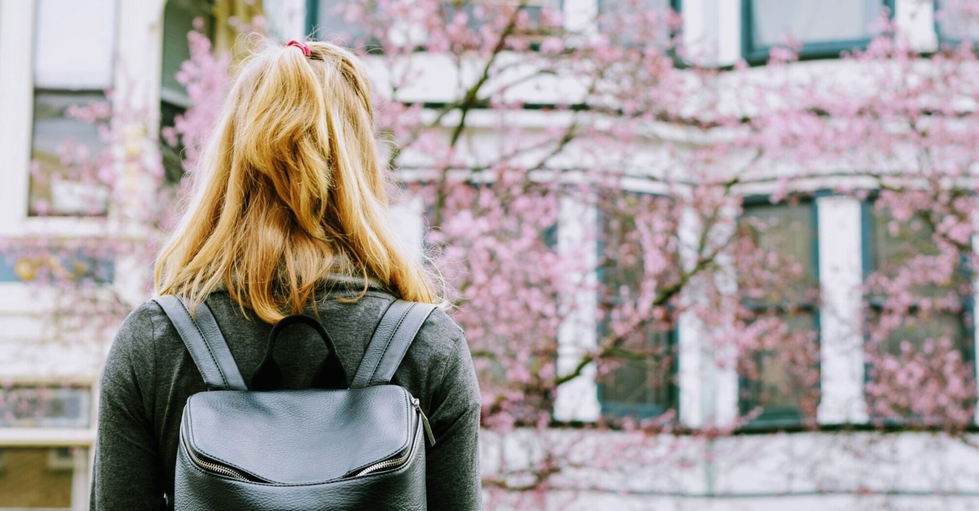 Woman with a backpack looking at cherry blossoms in front of a European-style building