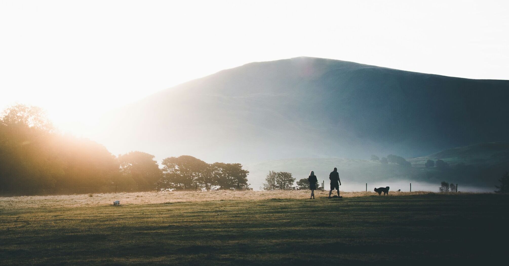 Two hikers and a dog walking in an open field with a mountain in the background during sunrise