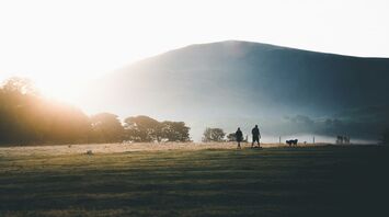 Two hikers and a dog walking in an open field with a mountain in the background during sunrise