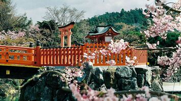 A traditional Japanese shrine and red bridge framed by blooming cherry blossoms over a turquoise river