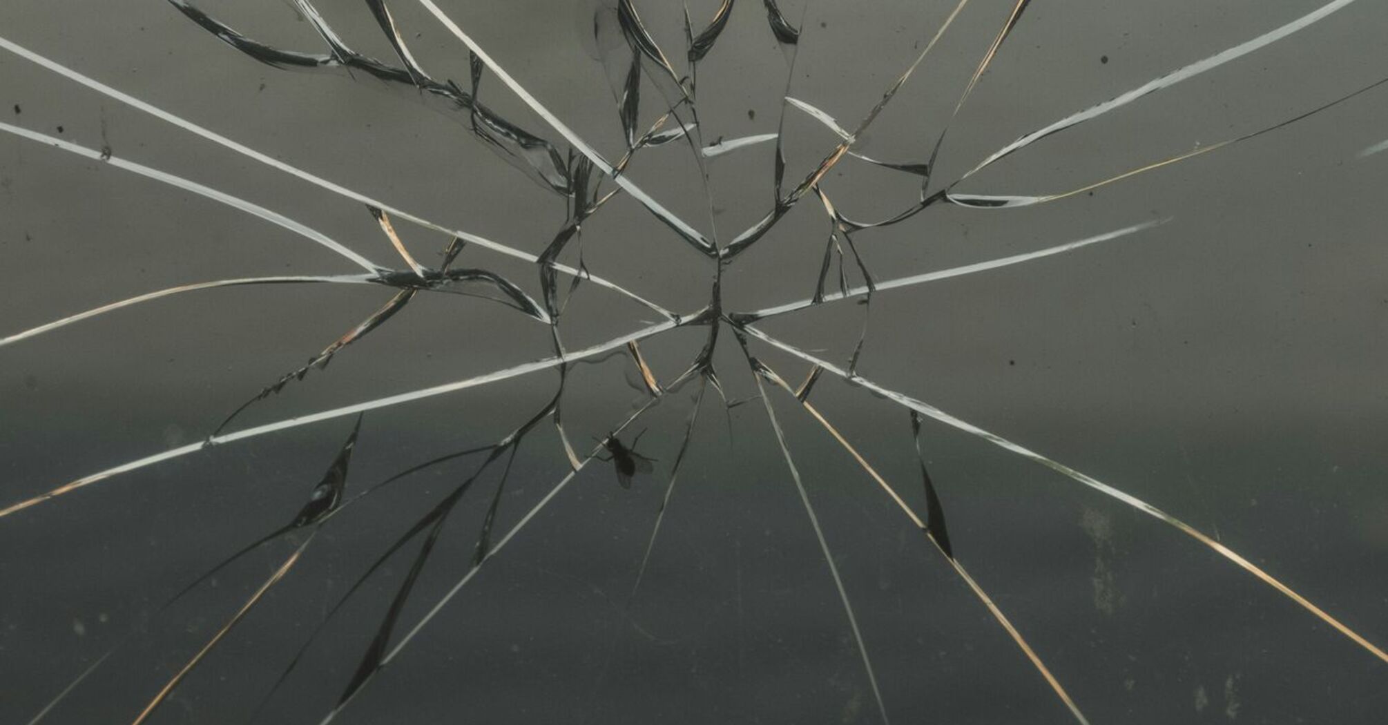 Shattered glass with a spiderweb pattern of cracks, reflecting light and a blurred outdoor scene in the background