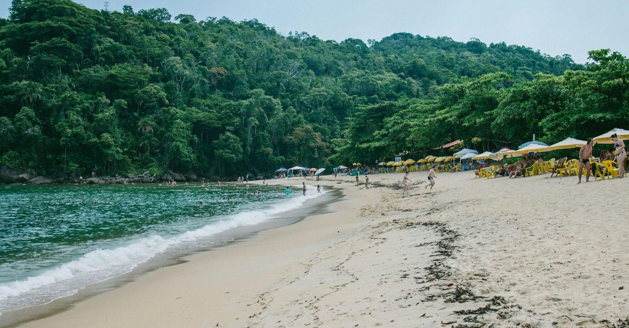 Tropical beach in Ubatuba with lush green hills and sunbathers along the shore