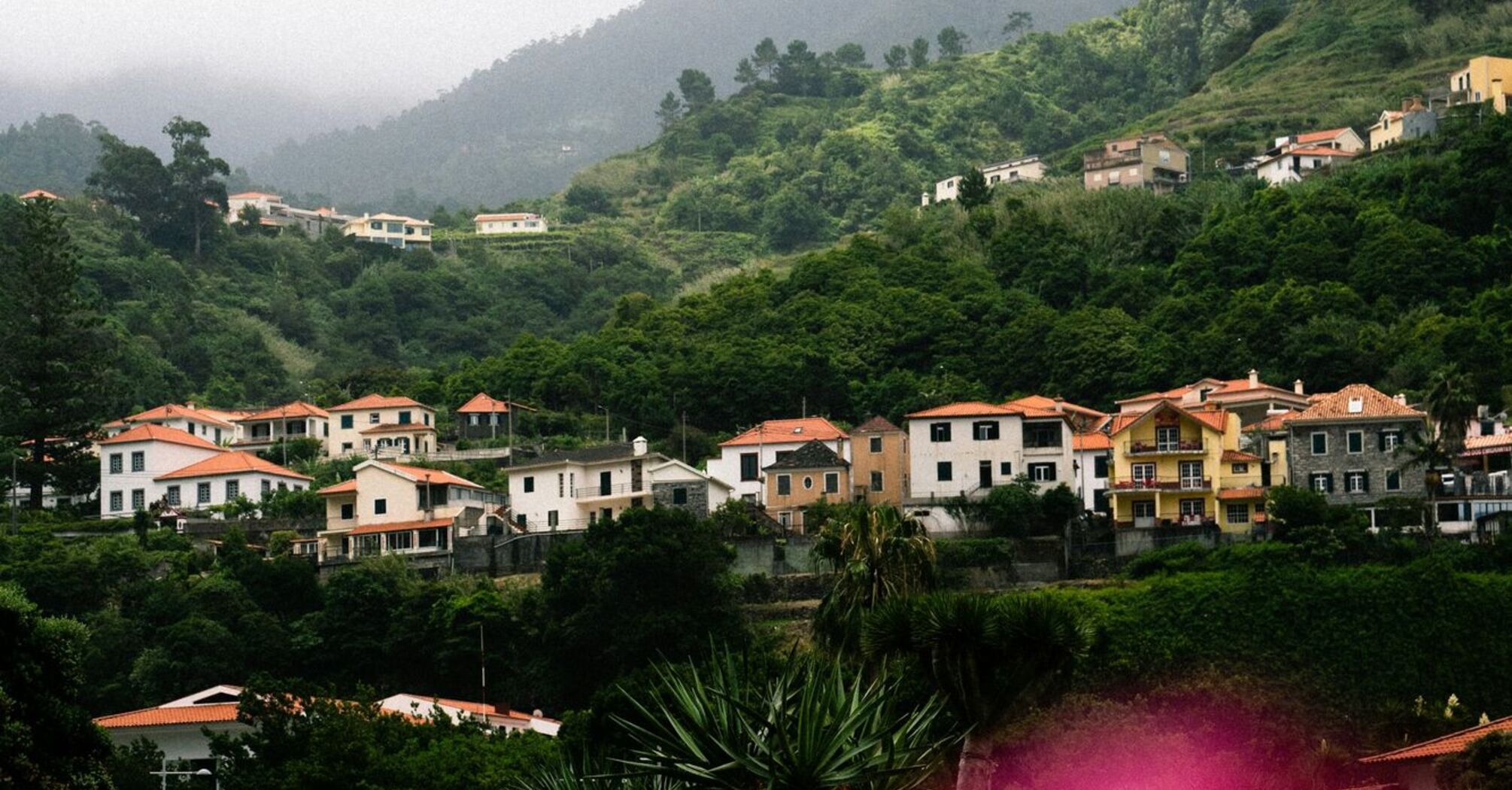 A misty hillside village with lush green vegetation and traditional houses in Madeira, Portugal