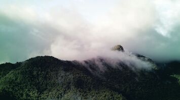 Cloud-covered green mountains with mist rolling over