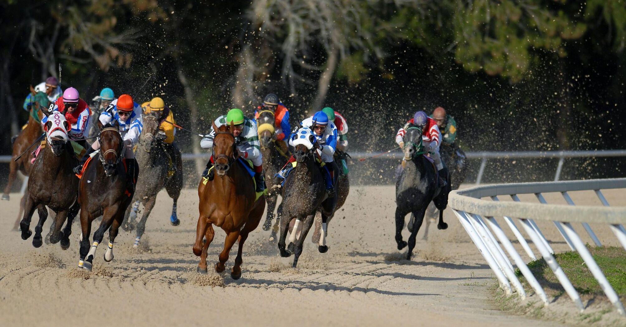 A group of jockeys riding racehorses at full speed on a sandy racetrack, kicking up dust as they round a bend