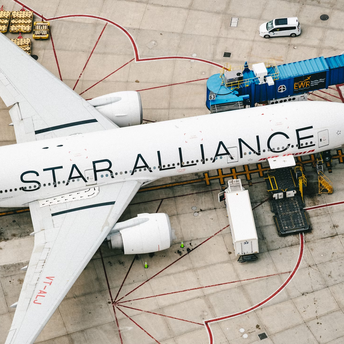 Airplane with Star Alliance livery parked at gate at the airport