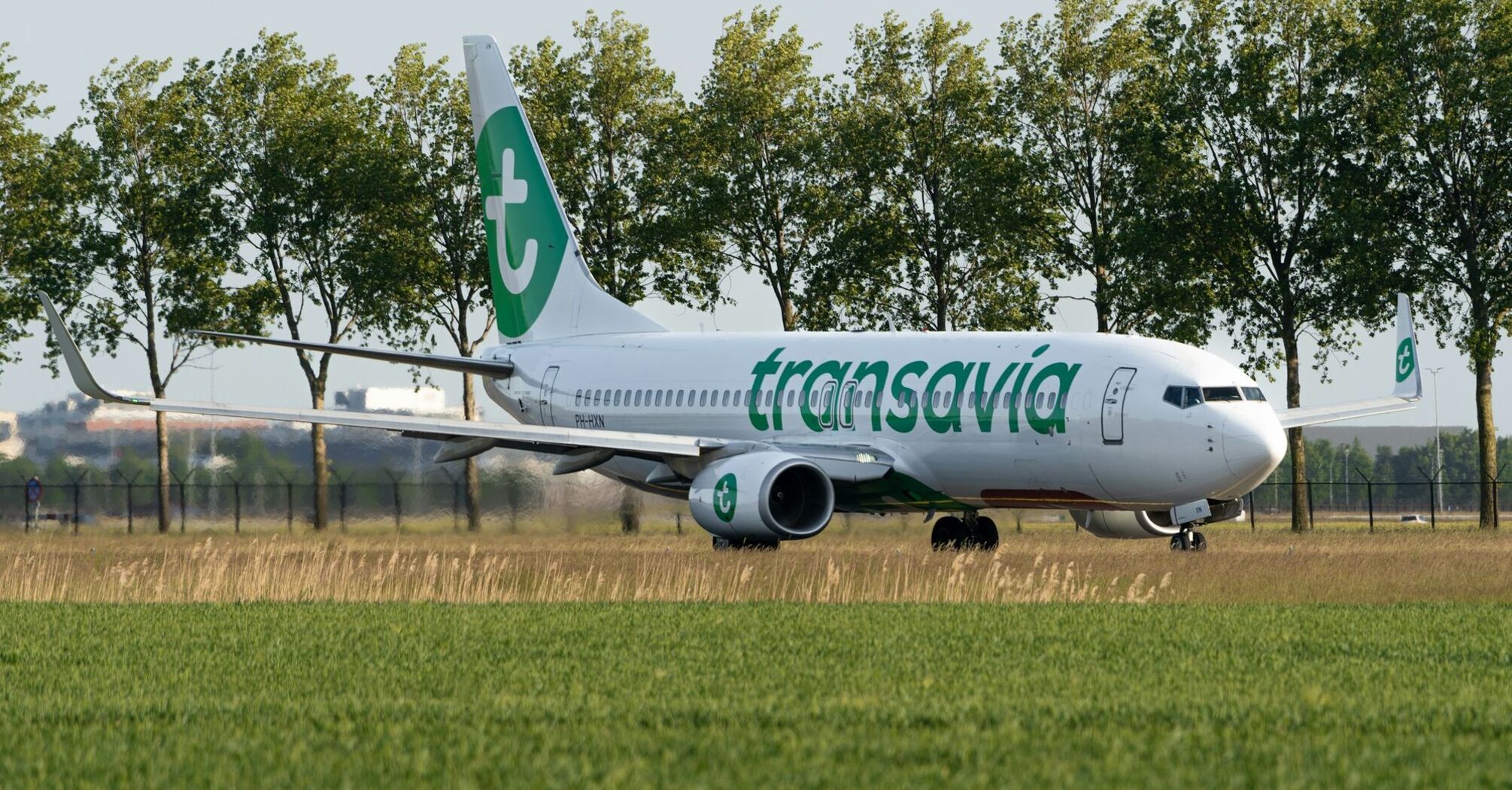 A Transavia aircraft on the runway, surrounded by greenery, preparing for departure