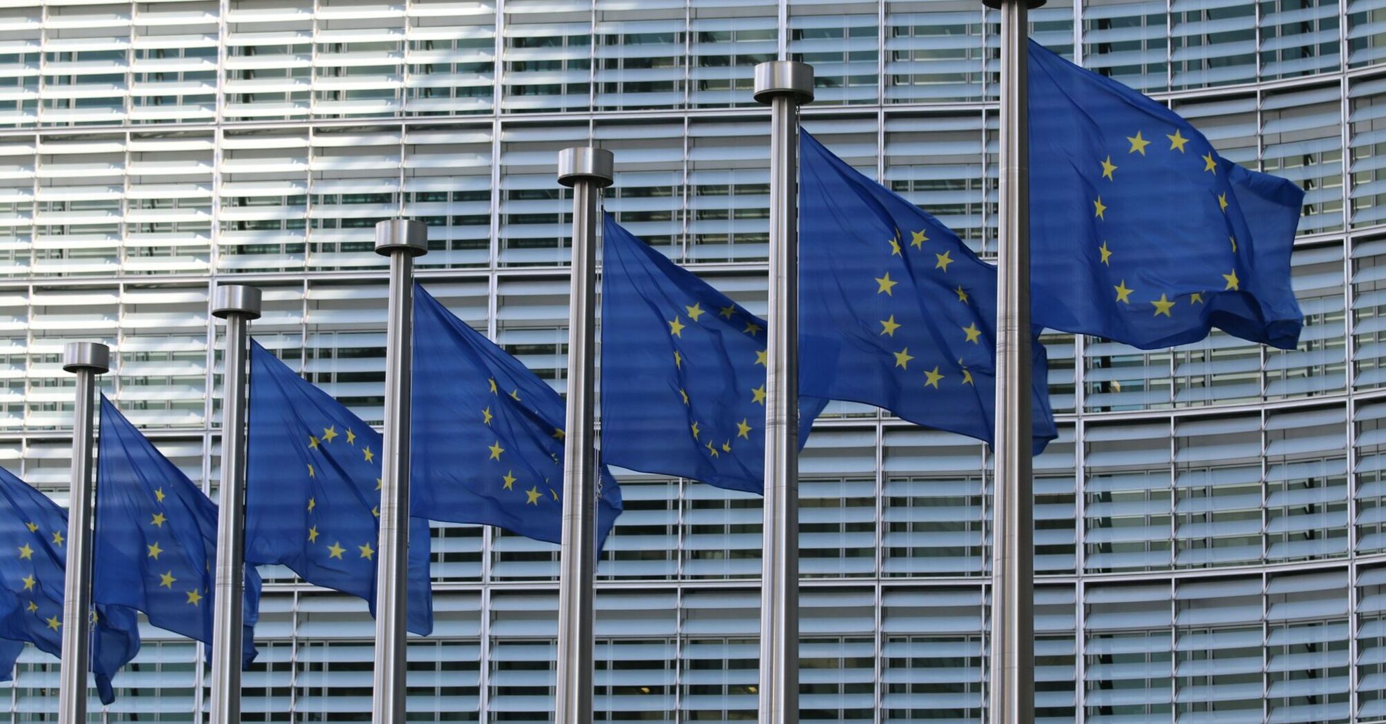 Rows of European Union flags waving in front of a modern glass building