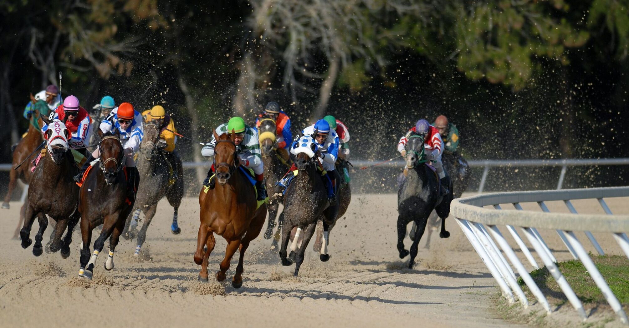 A group of racehorses and jockeys competing on a dirt track, kicking up dust as they round a bend