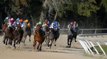 A group of racehorses and jockeys competing on a dirt track, kicking up dust as they round a bend