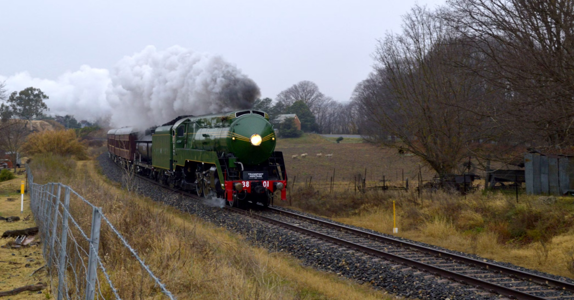 Green steam locomotive pulling passenger carriages through rural area
