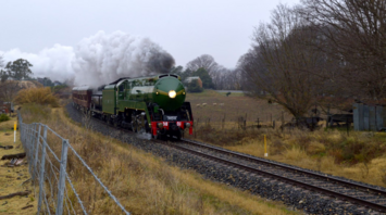 Green steam locomotive pulling passenger carriages through rural area