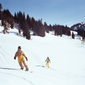 Two people skiing down a snowy mountain slope with pine trees and cabins in the background