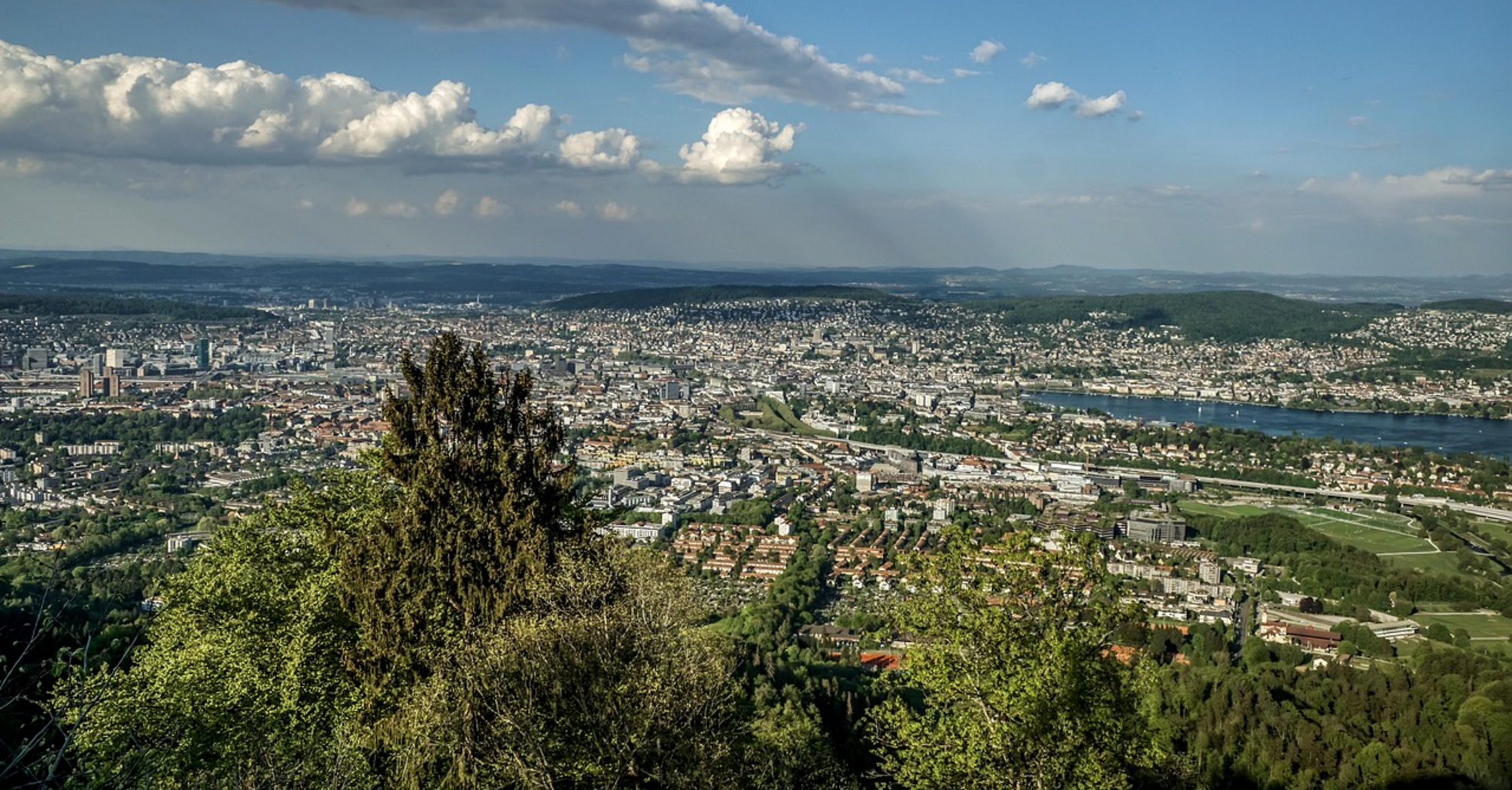 Panoramic view of Zurich from a forested hilltop with a river running through the city