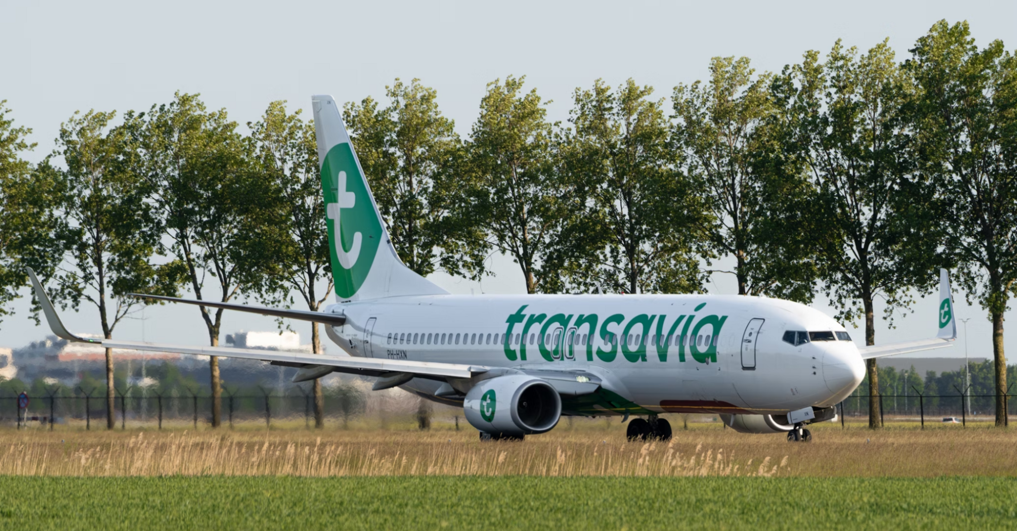 Transavia aircraft on runway with trees in background