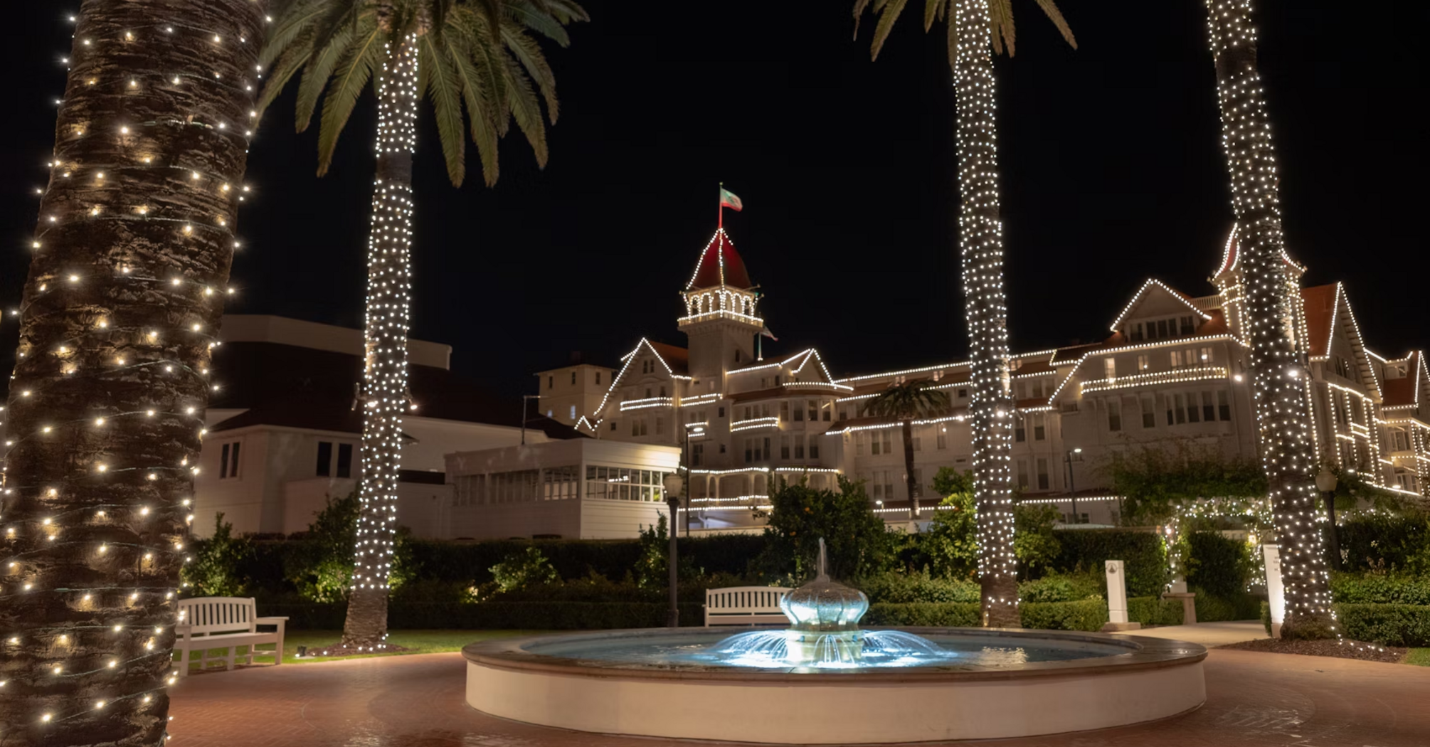 Night view of Hotel del Coronado with lit palm trees and fountain