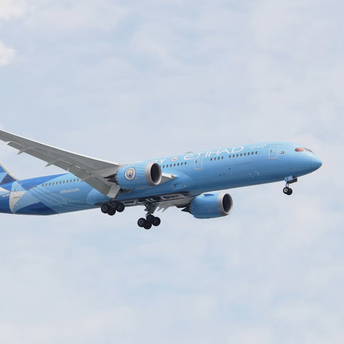 Etihad Airways Boeing 787 in special livery mid-flight