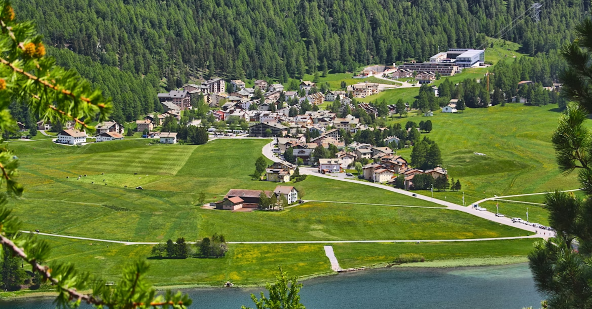 Aerial view of Silvaplana town surrounded by green fields, forest, and lake in summer