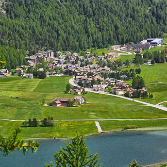 Aerial view of Silvaplana town surrounded by green fields, forest, and lake in summer