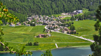 Aerial view of Silvaplana town surrounded by green fields, forest, and lake in summer