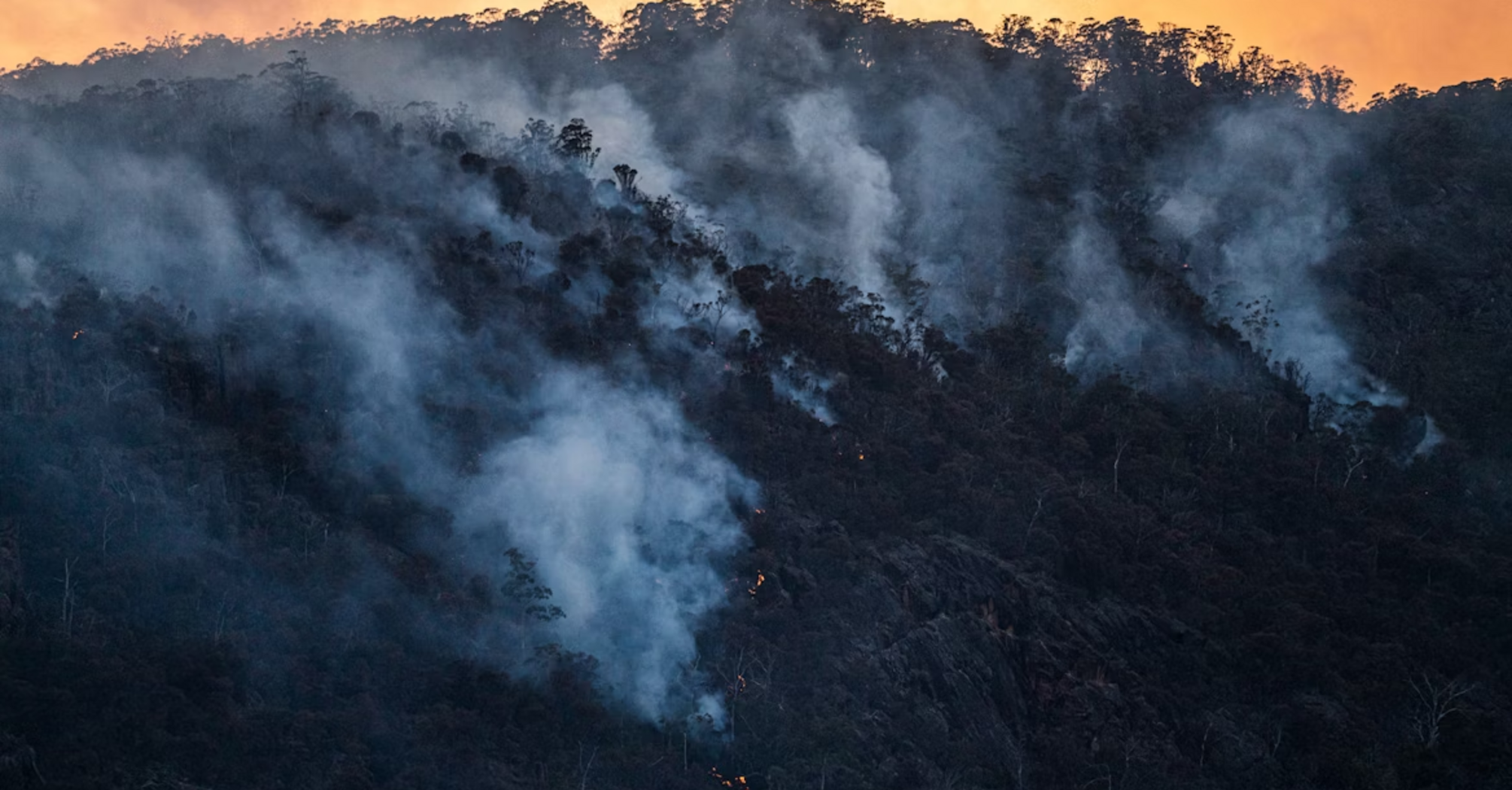 Smoke rising from wildfires on a forested hillside