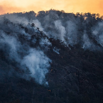 Smoke rising from wildfires on a forested hillside