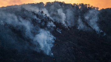 Smoke rising from wildfires on a forested hillside