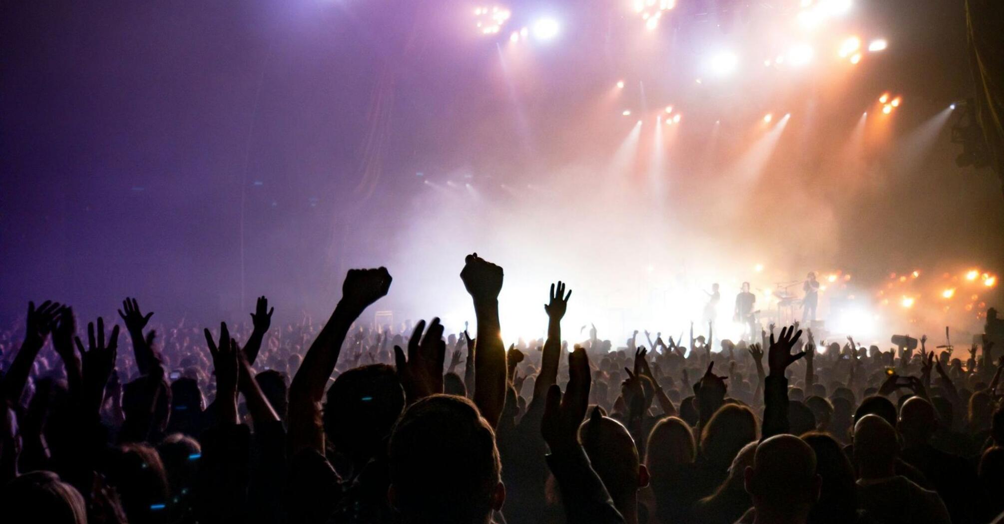 Crowd enjoying a live music concert with stage lights