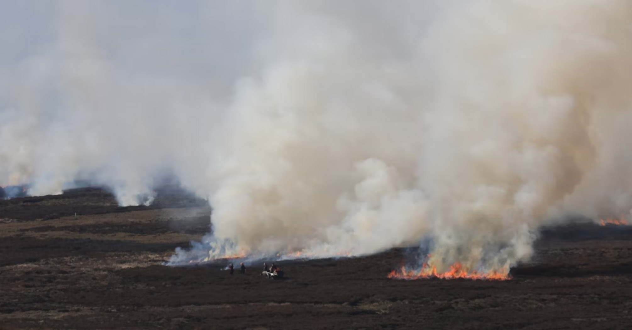 Smoke rises from wildfire