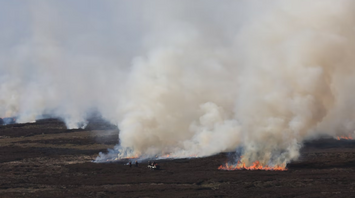 Smoke rises from wildfire