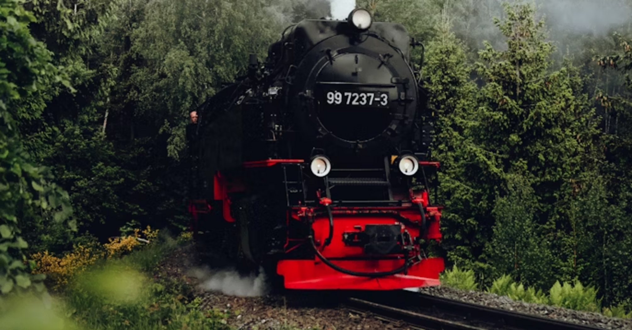 Black and red steam locomotive traveling through a forested railway curve on a misty day