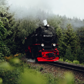 Black and red steam locomotive traveling through a forested railway curve on a misty day