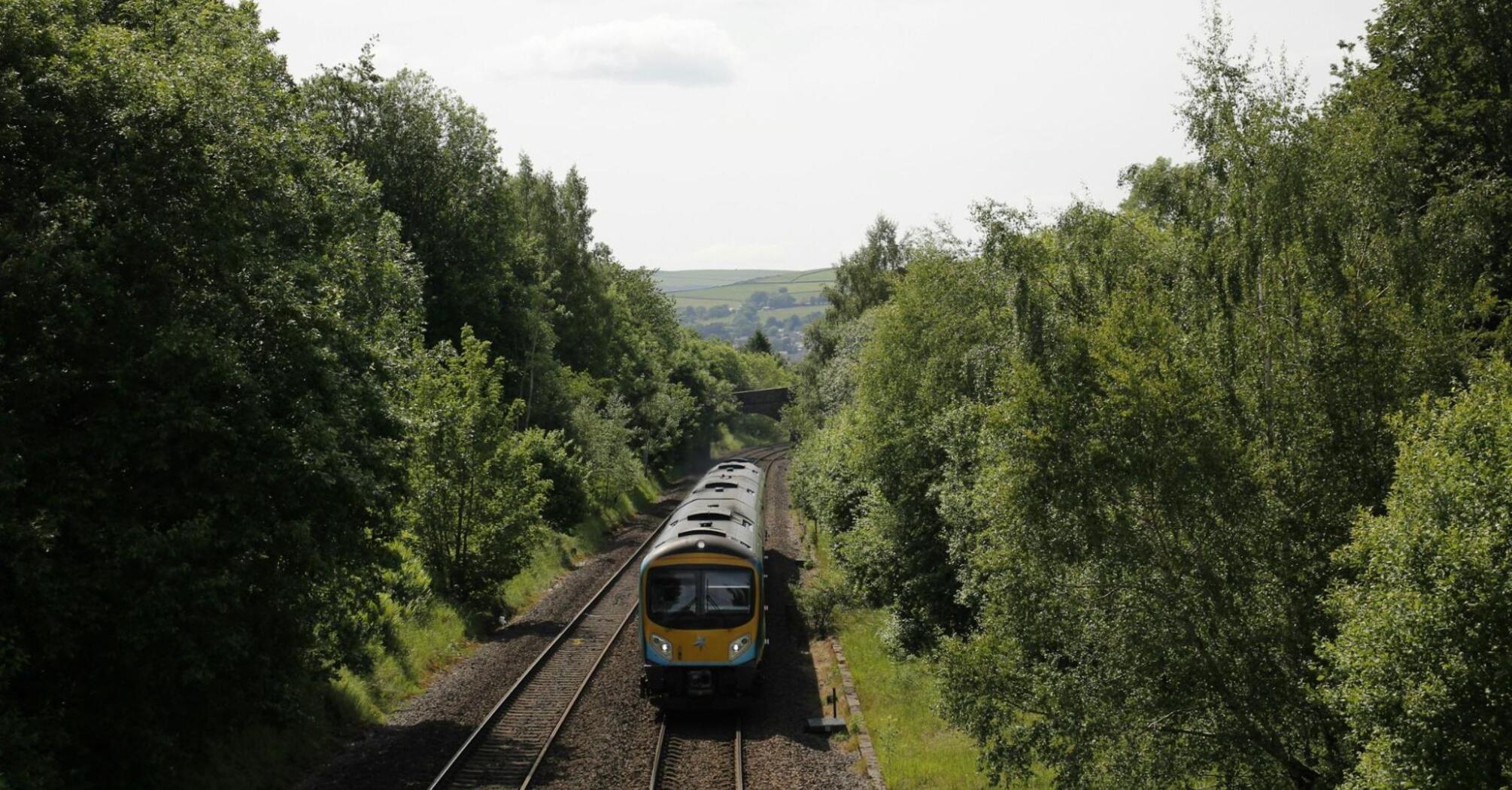 Train moving through green countryside