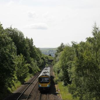 Train moving through green countryside