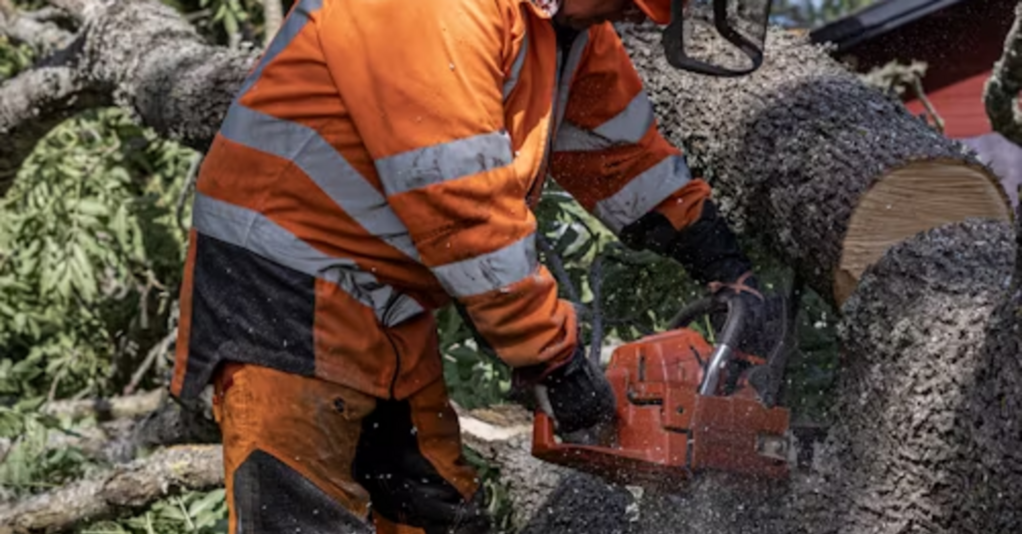 Worker cutting tree branches near railway line