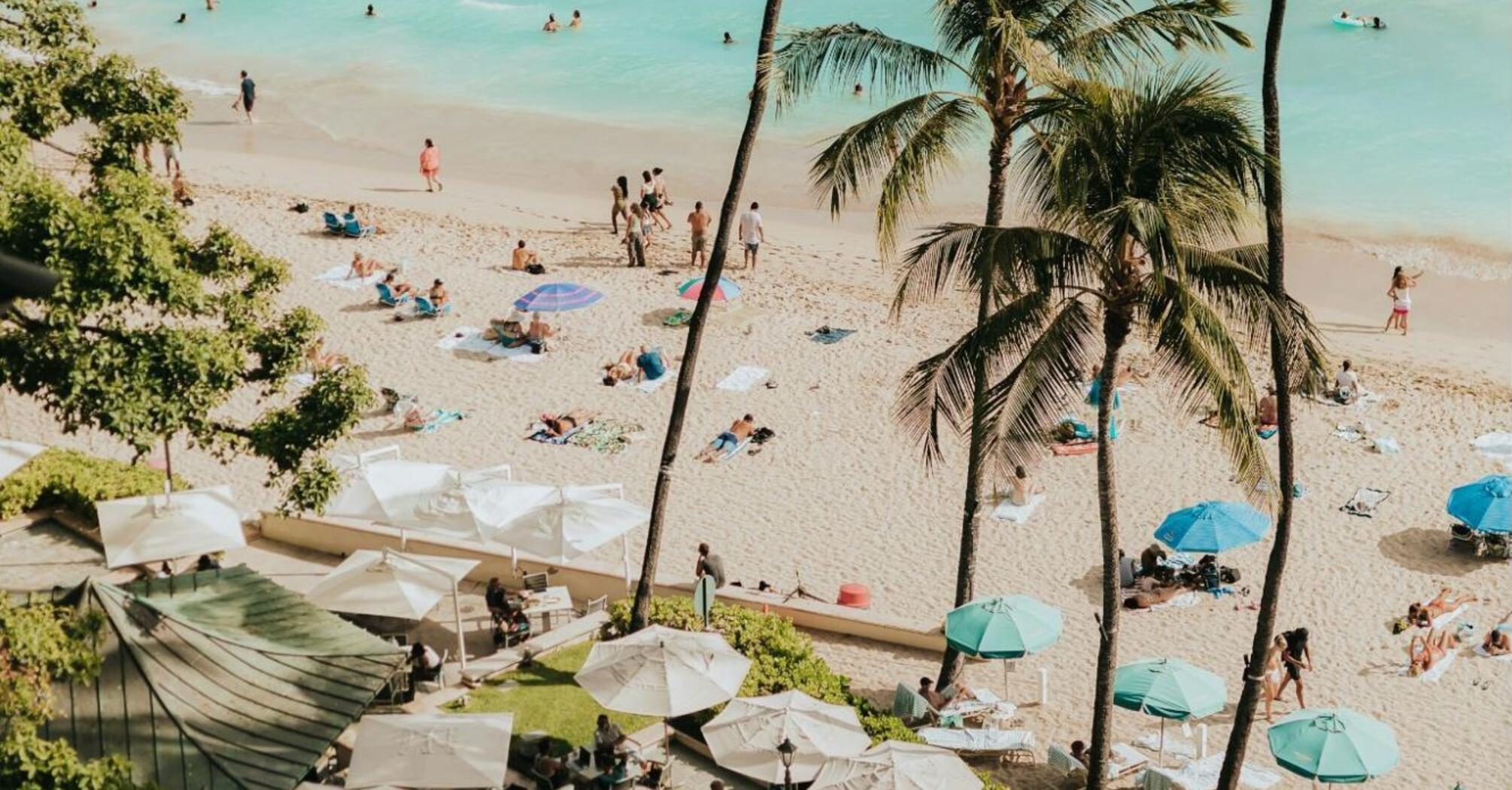 Aerial view of a tropical beach in Hawaii with palm trees, sunbathers, and turquoise water