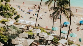 Aerial view of a tropical beach in Hawaii with palm trees, sunbathers, and turquoise water