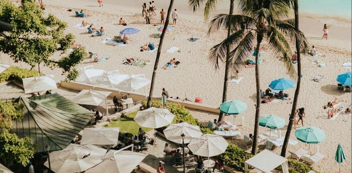 Aerial view of a tropical beach in Hawaii with palm trees, sunbathers, and turquoise water