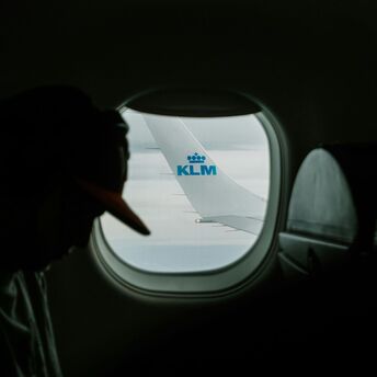 KLM wing seen from aircraft window