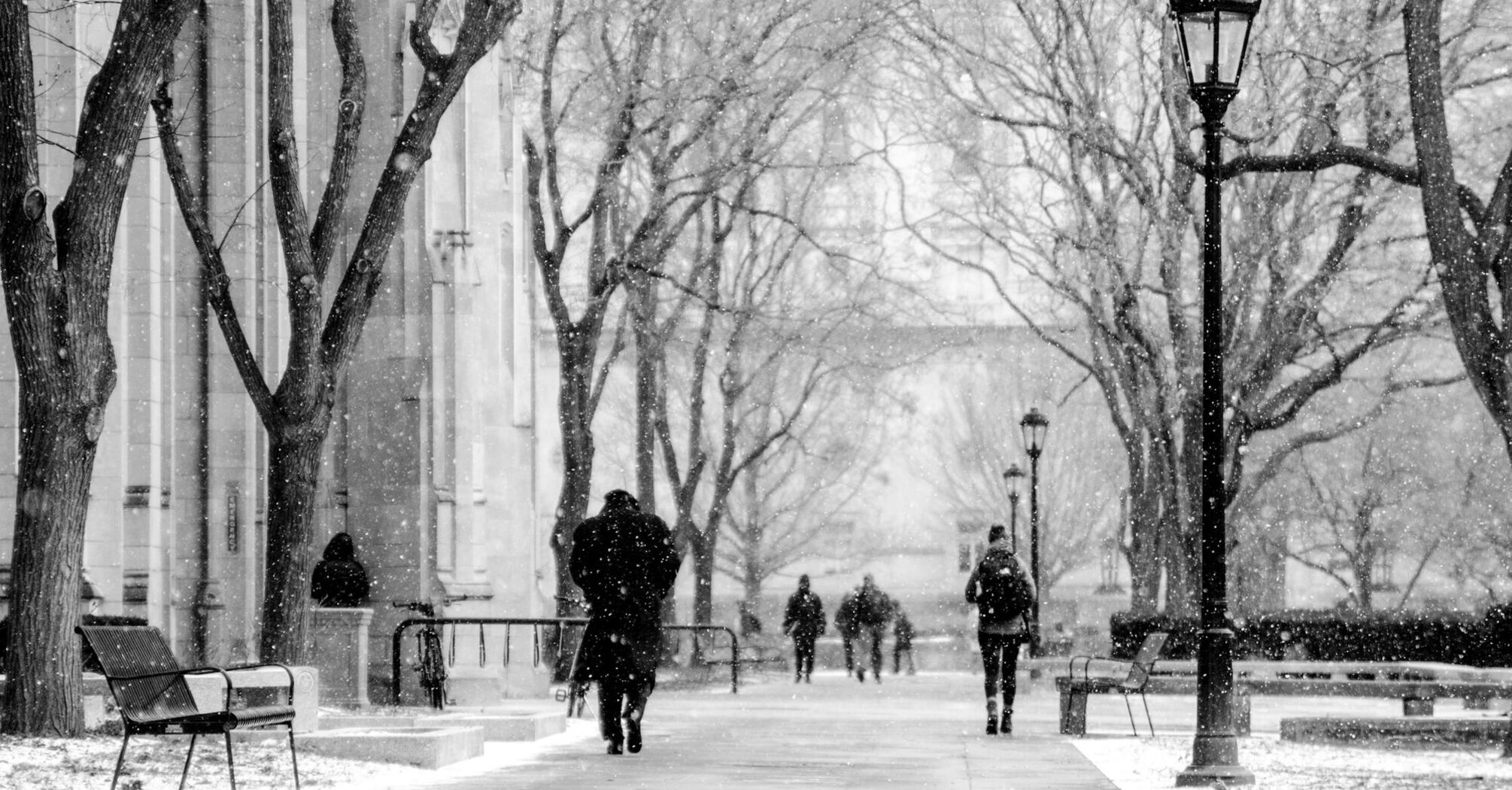 People walking during snowfall on a city street
