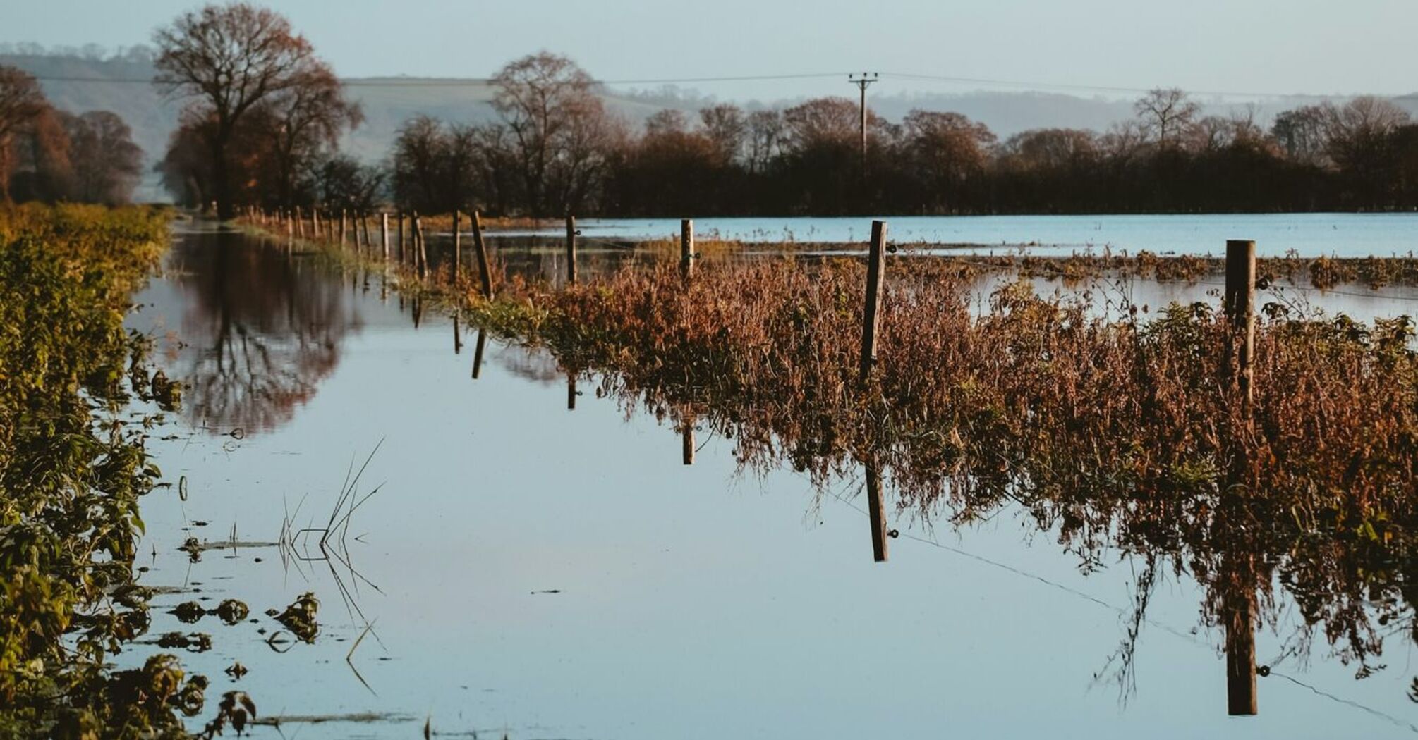 Flooded area beside fields and trees