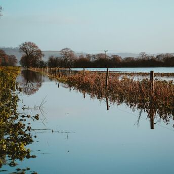 Flooded area beside fields and trees