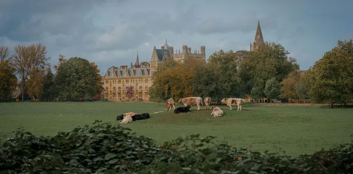 Cattle grazing in parkland near historic Oxfordshire buildings